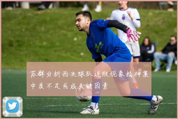 苏群分析西决球队连败现象精神集中度不足或成关键因素