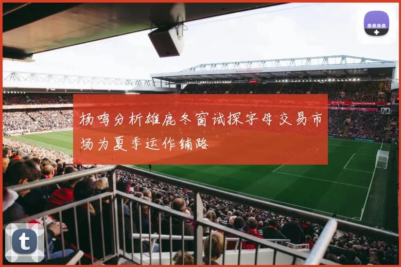 杨鸣分析雄鹿冬窗试探字母交易市场为夏季运作铺路